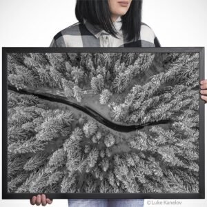 Aerial view of winter forest covered in snow