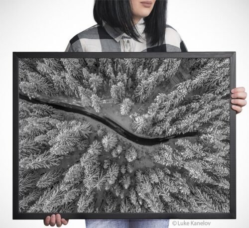Aerial view of winter forest covered in snow