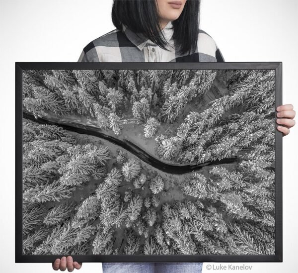 Aerial view of winter forest covered in snow