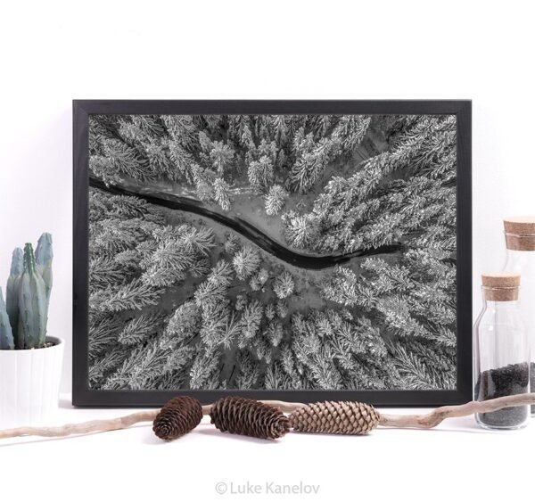 Aerial view of winter forest covered in snow – Framed Canvas