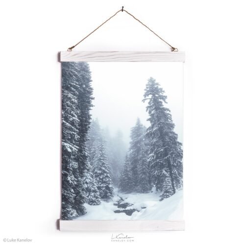 Misty winter landscape