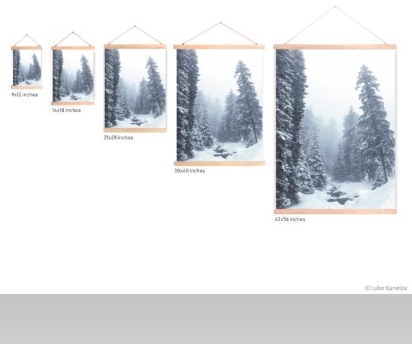 Misty winter landscape
