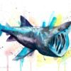 Basking shark watercolor painting print by Slaveika Aladjova