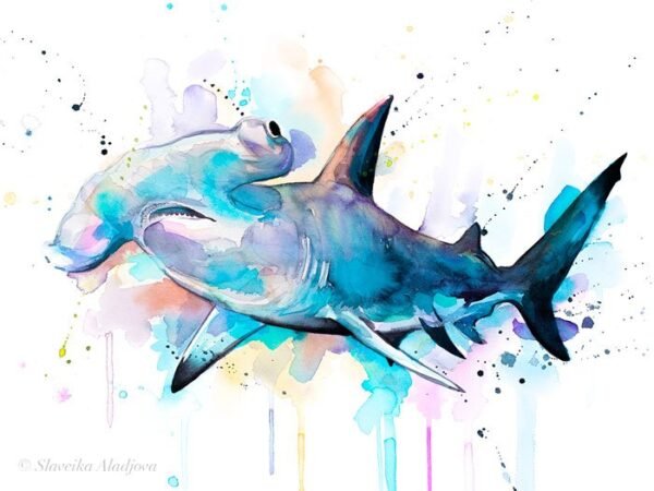Hammerhead shark watercolor painting print by Slaveika Aladjova
