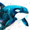 Orca watercolor painting print by Slaveika Aladjova