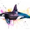 Killer whale watercolor painting print by Slaveika Aladjova