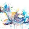 Beluga Whale watercolor painting print by Slaveika Aladjova