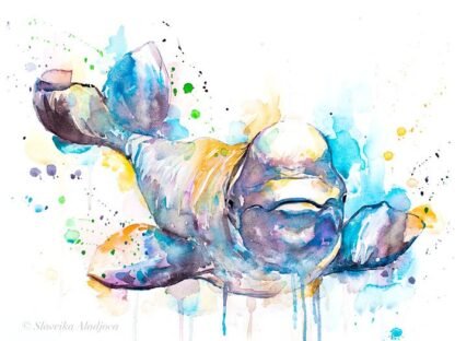 Beluga Whale watercolor painting print by Slaveika Aladjova