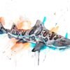 Leopard shark watercolor painting print by Slaveika Aladjova