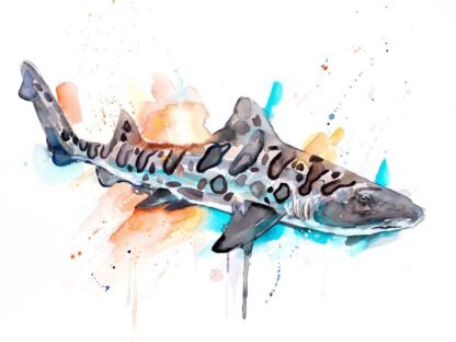 Leopard shark watercolor painting print by Slaveika Aladjova