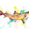 Lemon shark watercolor painting print by Slaveika Aladjova