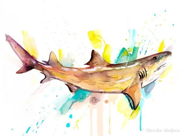 Lemon shark watercolor painting print by Slaveika Aladjova