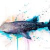 Whale shark watercolor painting print by Slaveika Aladjova