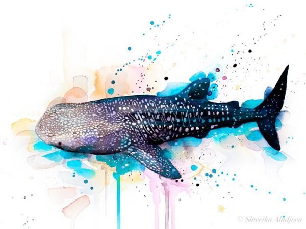 Whale shark watercolor painting print by Slaveika Aladjova
