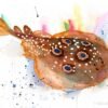Common torpedo ray, Eyed electric ray watercolor painting print by Slaveika Aladjova
