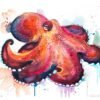 Coconut Octopus, Amphioctopus marginatus watercolor painting print by Slaveika Aladjova