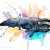 Southern right whale watercolor painting print by Slaveika Aladjova