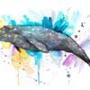 Gray whale watercolor painting print by Slaveika Aladjova