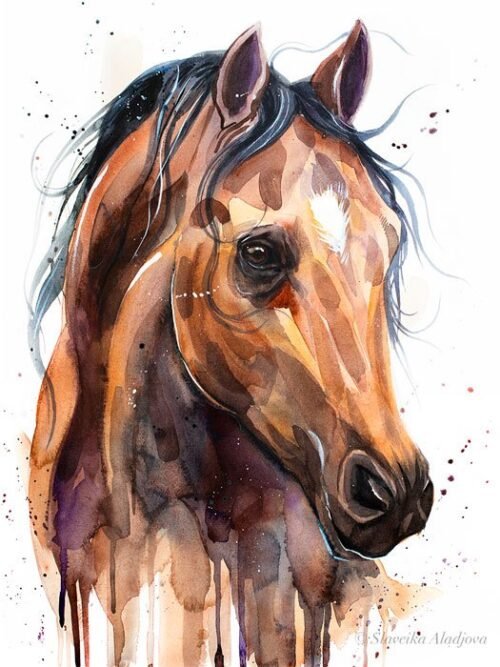 Thoroughbred Horse watercolor painting print by Slaveika Aladjova