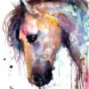 Beautiful Horse watercolor painting print by Slaveika Aladjova