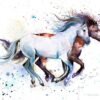 Horses watercolor painting print by Slaveika Aladjova