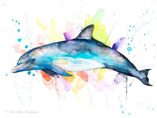 Bottlenose dolphin watercolor painting print by Slaveika Aladjova