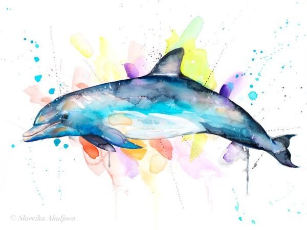 Bottlenose dolphin watercolor painting print by Slaveika Aladjova