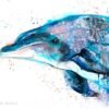 Dolphin watercolor painting print by Slaveika Aladjova