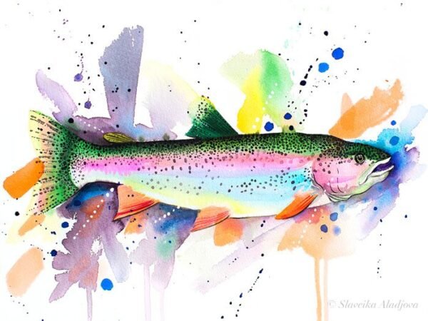 Rainbow trout watercolor painting print by Slaveika Aladjova