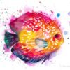 Discus watercolor painting print by Slaveika Aladjova