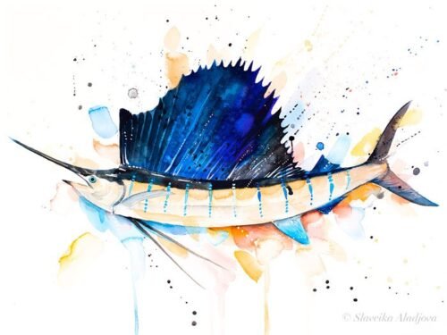 Atlantic sailfish watercolor painting print by Slaveika Aladjova