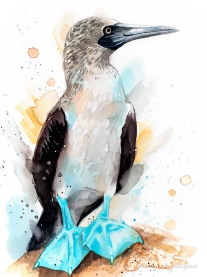Blue-footed Booby watercolor painting print by Slaveika Aladjova