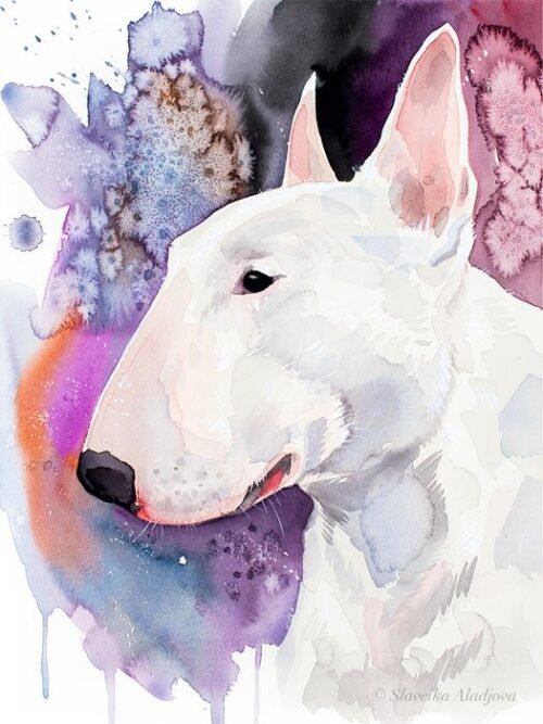 Bull Terrier watercolor painting print by Slaveika Aladjova
