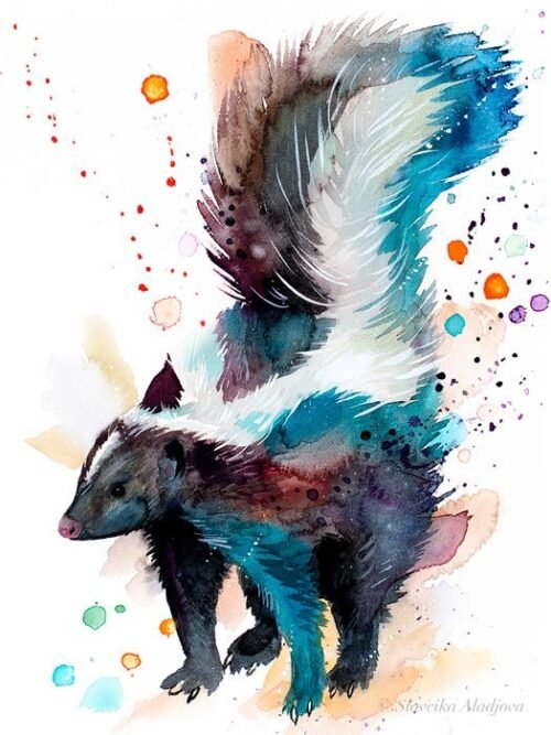 Skunk watercolor painting print by Slaveika Aladjova