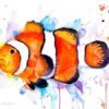 Clownfish, Anemonefish watercolor painting print by Slaveika Aladjova