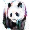 Panda watercolor painting print by Slaveika Aladjova