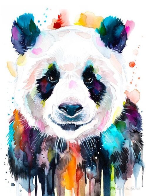 Colourful panda watercolor painting print by Slaveika Aladjova