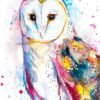 Barn owl watercolor painting print by Slaveika Aladjova
