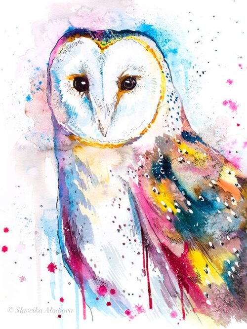 Barn owl watercolor painting print by Slaveika Aladjova