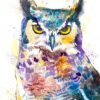 Horned Owl watercolor painting print by Slaveika Aladjova