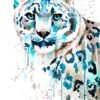 Snow leopard watercolor painting print by Slaveika Aladjova