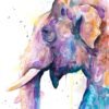 Asian Elephant Head watercolor painting print by Slaveika Aladjova