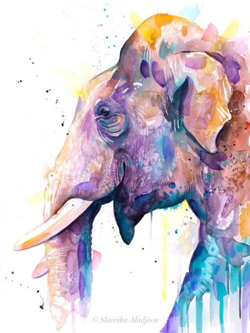 Asian Elephant Head watercolor painting print by Slaveika Aladjova