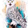 Snowy Owl watercolor painting print by Slaveika Aladjova