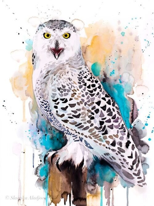 Snowy Owl watercolor painting print by Slaveika Aladjova