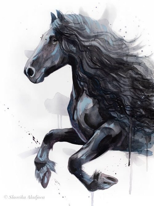 Friesian Horse watercolor painting print by Slaveika Aladjova