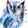 Screech owl watercolor painting print by Slaveika Aladjova