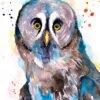Great grey owl watercolor painting print by Slaveika Aladjova