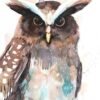 Crested owl watercolor painting print by Slaveika Aladjova