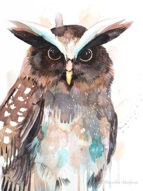 Crested owl watercolor painting print by Slaveika Aladjova